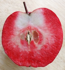 A half of Red Love apple - it's red flesh is showing